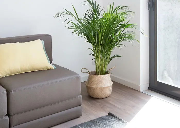 Samasal Trindade * Πόρτο