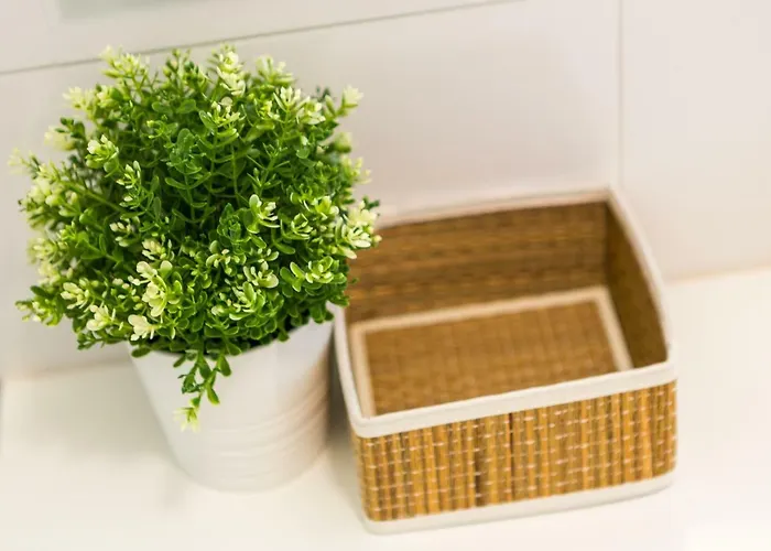 Samasal Trindade Πόρτο