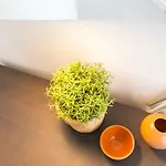Samasal Trindade Apartman Porto