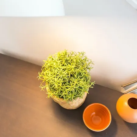 Samasal Trindade Appartement Porto