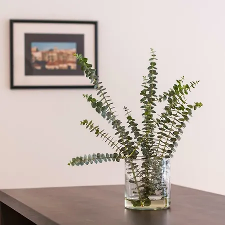 Samasal Trindade Apartament Porto