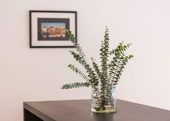 Samasal Trindade Apartamento Oporto