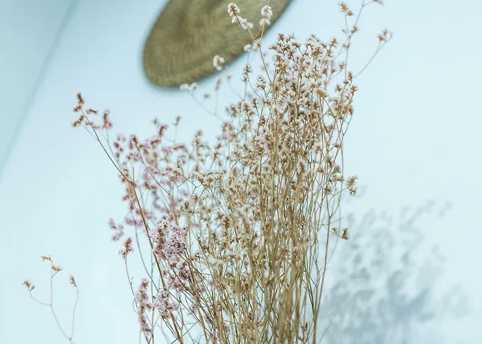 Samasal Trindade Oporto