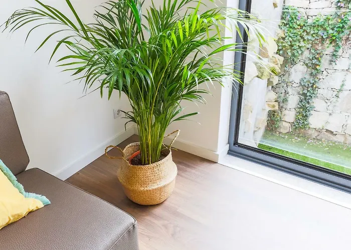 Samasal Trindade Apartamento