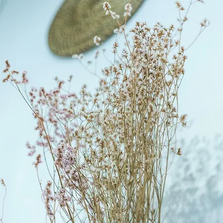 Samasal Trindade פורטו