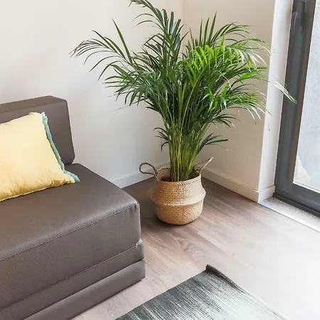 Samasal Trindade Apartment *